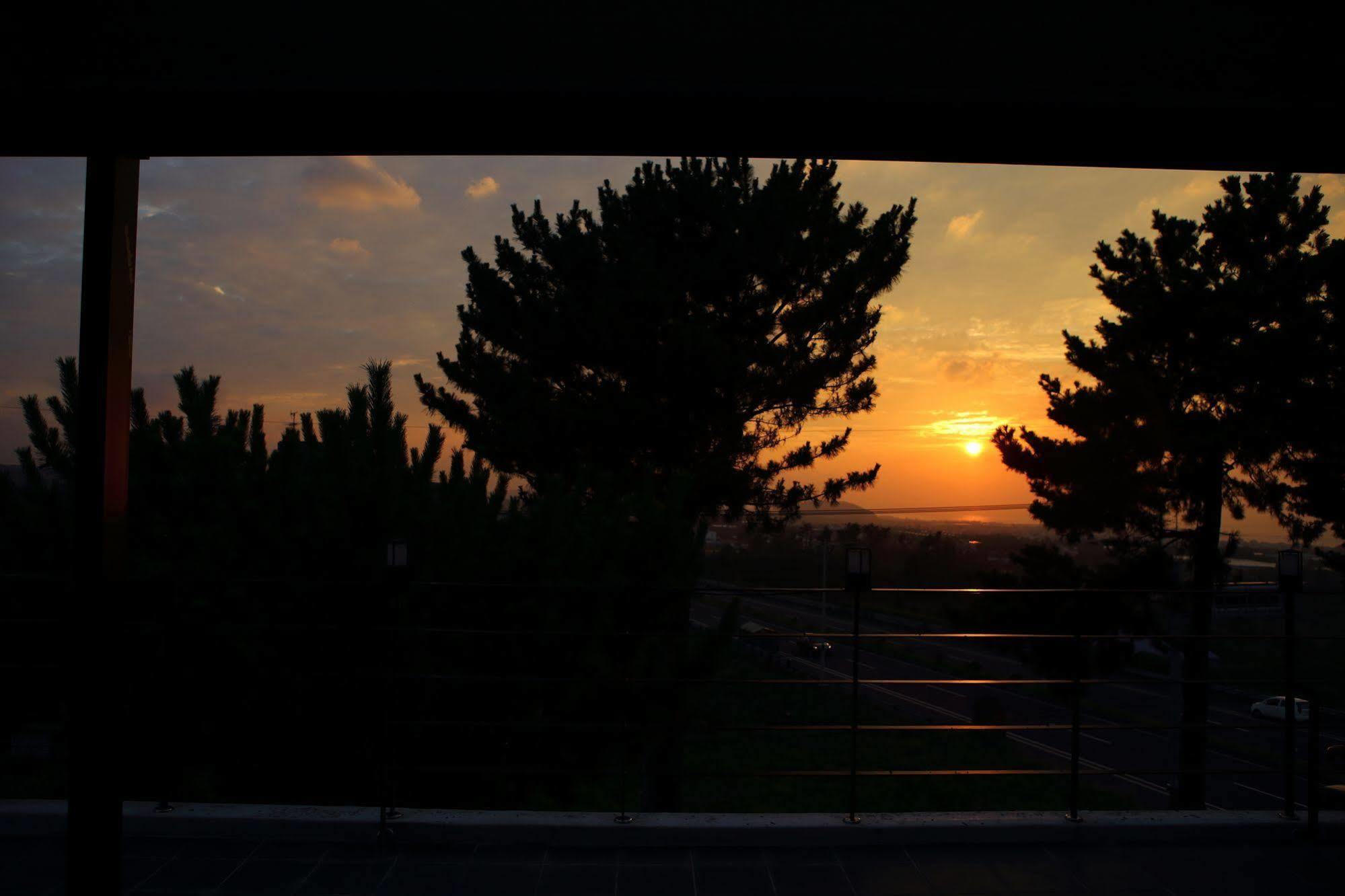 Harry And Sodam Pension Jeju Exterior foto